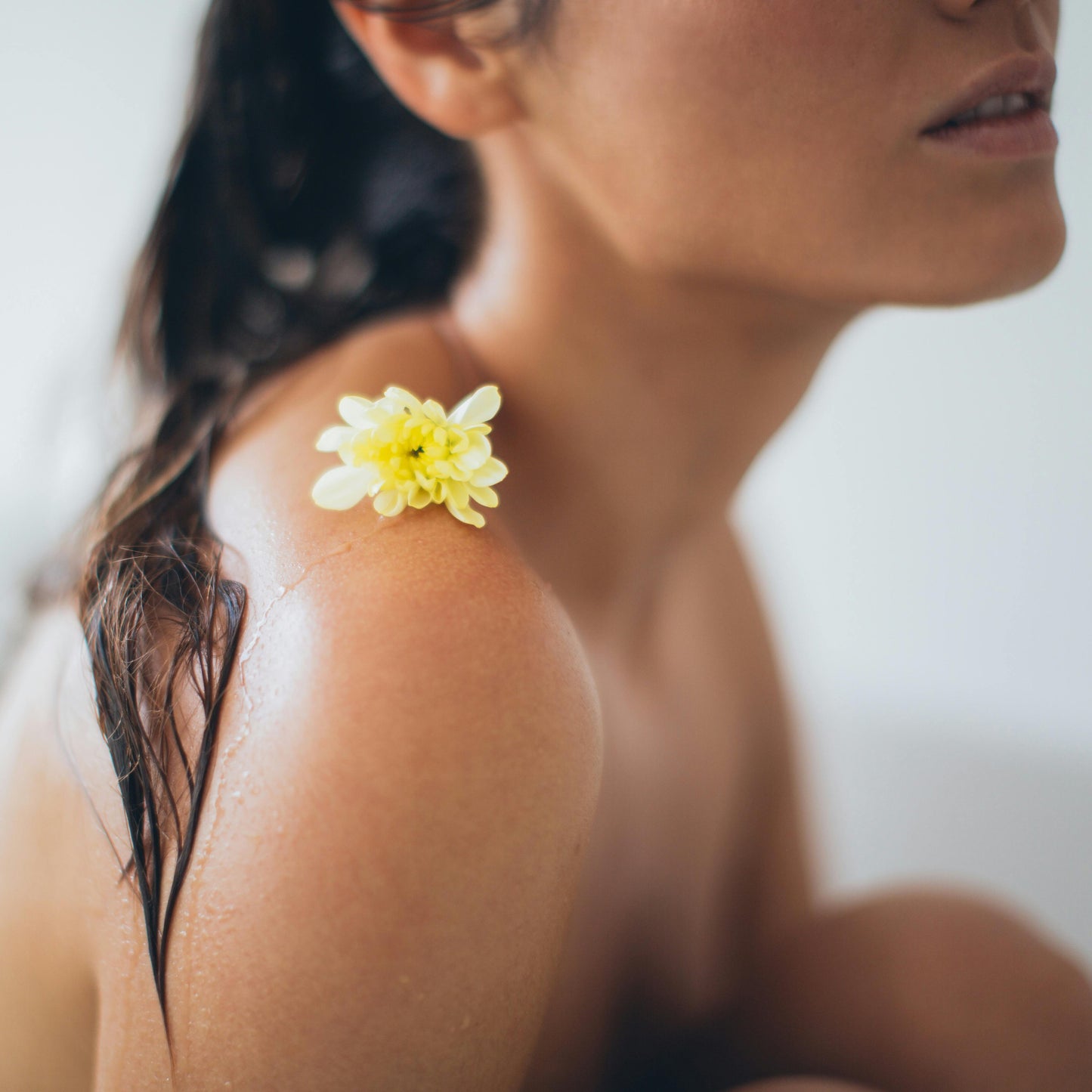 Botanical Bliss Calming Body Oil